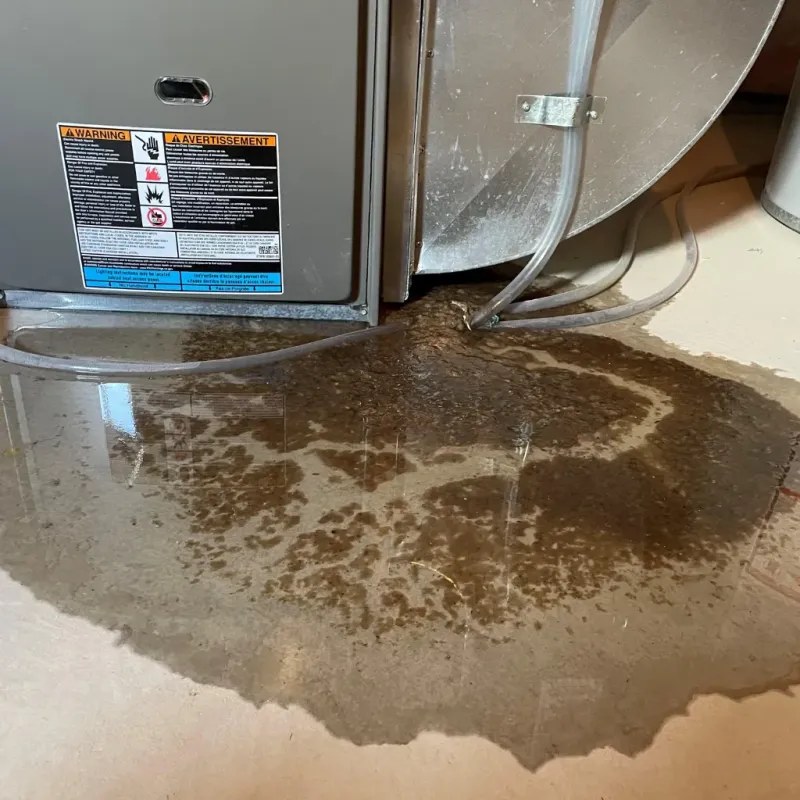 Appliance Leak Cleanup in Calera, AL